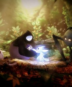 Ori and the Will of the Wisps - PC Key Code Steam Game Global