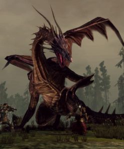 Dragon Age Origins  Ultimate Edition - PC Key Code Steam Game Global