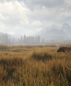 theHunter Call of the Wild - PC Key Code Steam Game Global